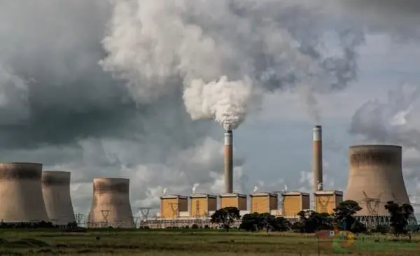 印度造紙行業的現狀、風險和發展機遇